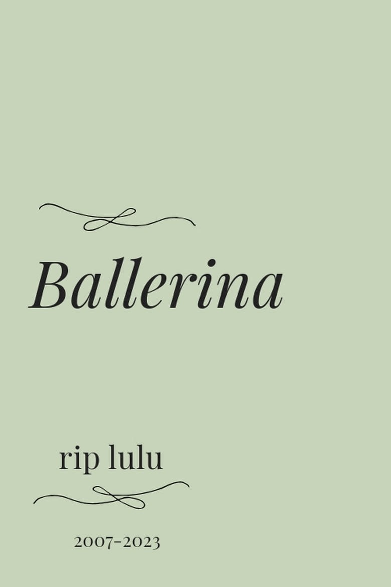 Ballerina (2023) ร่ายระบำฆ่า